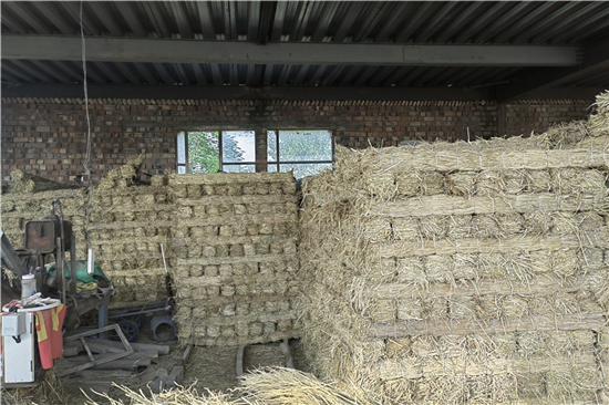 鐵路鋼廠裝載加固 防滑草支墊的性能(防滑草墊在哪里有賣) 鐵路鋼廠裝載加固 防滑草支墊的性能(防滑草墊在哪里有賣)