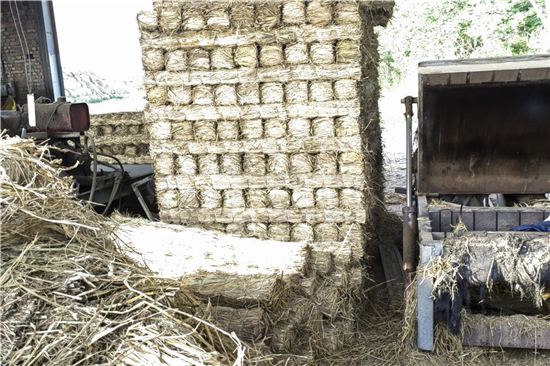 稻夫草支墊助力鐵路貨運安全與效率提升(稻草墊子價格批發(fā))