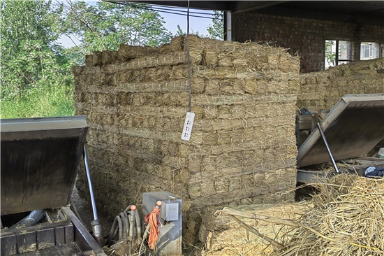 稻夫草支墊在鐵路貨運(yùn)中的環(huán)保與經(jīng)濟(jì)價(jià)值(稻草做的床墊對(duì)人體有害嗎) 稻夫草支墊在鐵路貨運(yùn)中的環(huán)保與經(jīng)濟(jì)價(jià)值(稻草做的床墊對(duì)人體有害嗎)