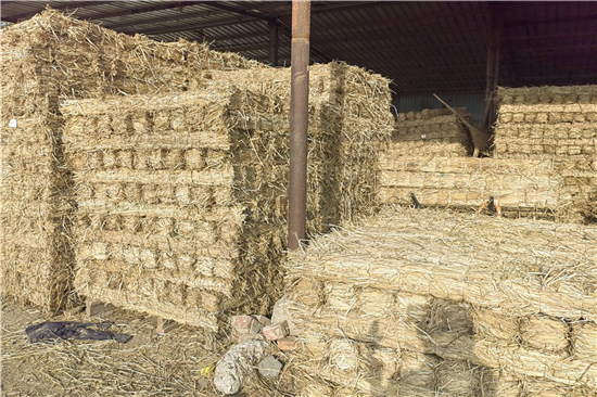 鋼廠鐵路裝載防滑草支墊的性能提升與優(yōu)化(下雪防滑草墊廠家)