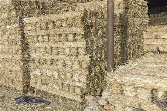 防滑草支墊在鋼廠鐵路裝載中的適應(yīng)性分析