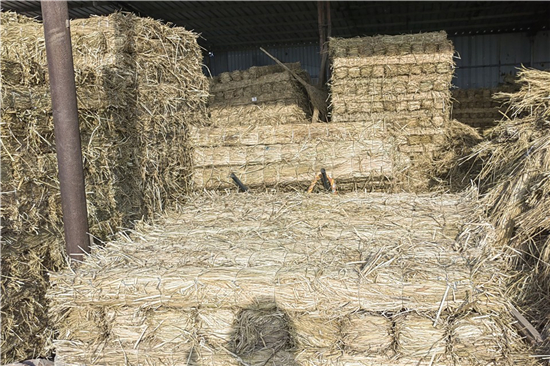 鋼廠鐵路火車運輸防滑加固稻夫草支墊的環(huán)保與經(jīng)濟性分析 鋼廠鐵路火車運輸防滑加固稻夫草支墊的環(huán)保與經(jīng)濟性分析