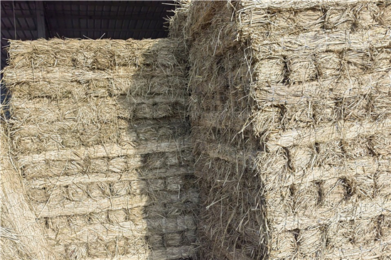 鐵路鋼廠裝載防滑草支墊的選購與保養(yǎng)(防滑草墊使用注意) 鐵路鋼廠裝載防滑草支墊的選購與保養(yǎng)(防滑草墊使用注意)