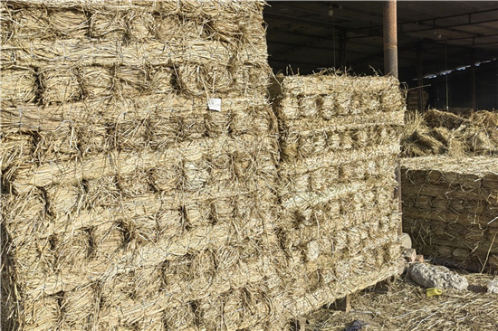 鋼廠鐵路運(yùn)輸防滑加固稻夫草支墊的培訓(xùn)與指導(dǎo)(稻草墊的使用方法) 鋼廠鐵路運(yùn)輸防滑加固稻夫草支墊的培訓(xùn)與指導(dǎo)(稻草墊的使用方法)