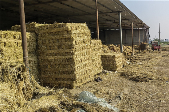 鋼廠鐵路運輸防滑加固稻夫草支墊的安全管理(稻草墊厚度不得小于且壓實后不得小于10mm) 鋼廠鐵路運輸防滑加固稻夫草支墊的安全管理(稻草墊厚度不得小于且壓實后不得小于10mm)