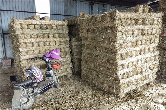 鐵路鋼廠裝載加固 防滑草支墊的選用(防滑草墊在哪里有賣) 鐵路鋼廠裝載加固 防滑草支墊的選用(防滑草墊在哪里有賣)