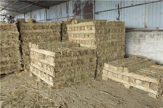 鋼廠鐵路裝載加固防滑草支墊的研究與發(fā)展(防滑草墊屬于什么用品)