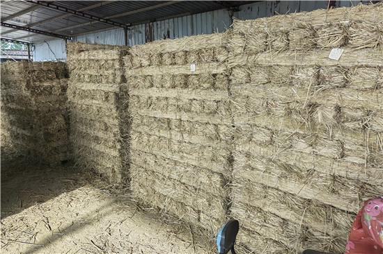 鋼廠鐵路裝載加固防滑草支墊的研究與發(fā)展(防滑草墊多少錢一塊) 鋼廠鐵路裝載加固防滑草支墊的研究與發(fā)展(防滑草墊多少錢一塊)