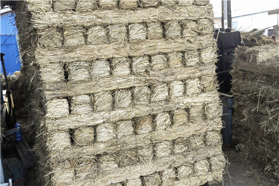 稻夫草支墊如何提升鐵路運(yùn)輸安全性與穩(wěn)定性(稻草墊床墊好嗎) 稻夫草支墊如何提升鐵路運(yùn)輸安全性與穩(wěn)定性(稻草墊床墊好嗎)