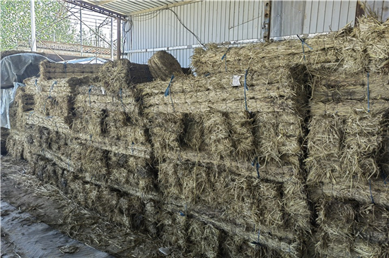 鐵路鋼廠裝載防滑草支墊廠家 服務(wù)范圍廣泛(鐵路專用草支墊廠家直銷) 鐵路鋼廠裝載防滑草支墊廠家 服務(wù)范圍廣泛(鐵路專用草支墊廠家直銷)