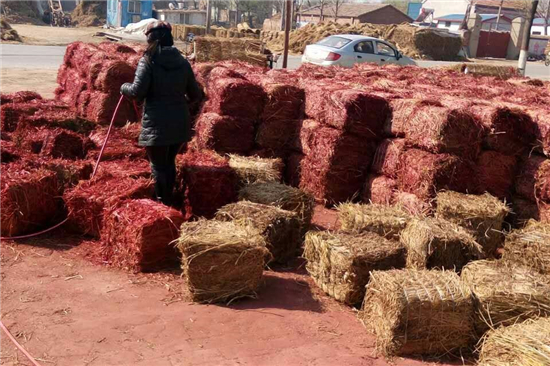 稻夫草支墊在鐵路運輸裝載加固中的重要作用(稻草墊一般鋪墊于貨物與車地板間) 稻夫草支墊在鐵路運輸裝載加固中的重要作用(稻草墊一般鋪墊于貨物與車地板間)