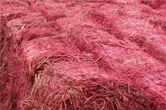 鋼廠鐵路運(yùn)輸防滑加固稻夫草支墊的優(yōu)化設(shè)計(jì) 鋼廠鐵路運(yùn)輸防滑加固稻夫草支墊的優(yōu)化設(shè)計(jì)