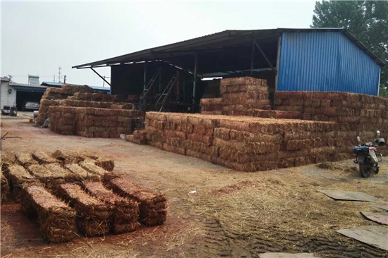 稻夫草支墊在鐵路運(yùn)輸中的創(chuàng)新與實(shí)踐 稻夫草支墊在鐵路運(yùn)輸中的創(chuàng)新與實(shí)踐