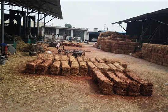 鐵路鋼廠裝載防滑草支墊廠家 專注品質(zhì) 鐵路鋼廠裝載防滑草支墊廠家 專注品質(zhì)