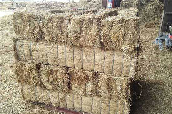 鋼廠鐵路運輸防滑加固稻夫草支墊的案例分析 鋼廠鐵路運輸防滑加固稻夫草支墊的案例分析