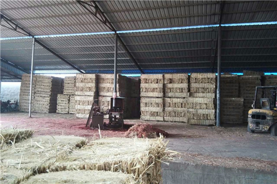 鐵路鋼廠裝載防滑草支墊廠家 服務(wù)范圍廣泛(鐵路專用草支墊廠家直銷) 鐵路鋼廠裝載防滑草支墊廠家 服務(wù)范圍廣泛(鐵路專用草支墊廠家直銷)