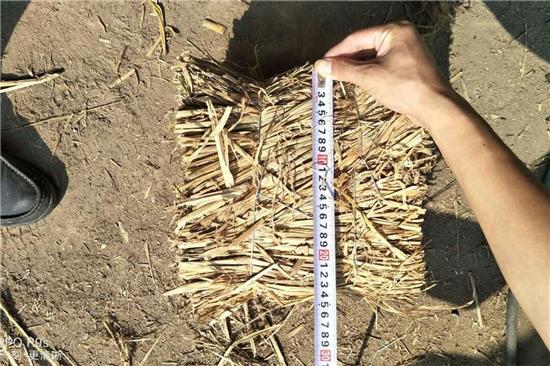 稻夫草支墊 鐵路運輸安全的綠色保障(稻夫草編制品) 稻夫草支墊 鐵路運輸安全的綠色保障(稻夫草編制品)