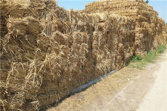 鐵路鋼廠裝載防滑草支墊廠家 專注產(chǎn)品質量(唐山鐵路用草支墊廠家)