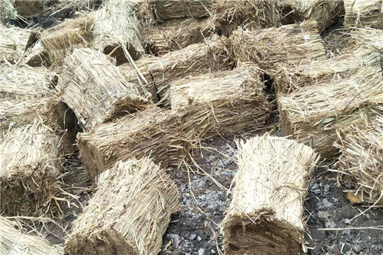 鋼廠鐵路運(yùn)輸防滑加固稻夫草支墊的市場(chǎng)分析