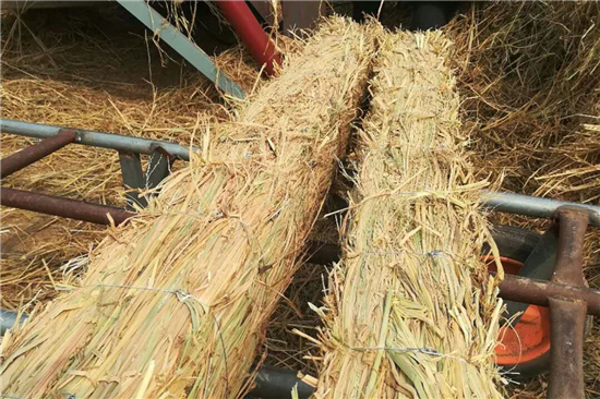 鋼廠鐵路運(yùn)輸防滑加固稻夫草支墊的品質(zhì)保障(稻草防腐) 鋼廠鐵路運(yùn)輸防滑加固稻夫草支墊的品質(zhì)保障(稻草防腐)