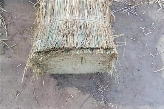 鐵路鋼廠如何選用合適的防滑草支墊？(防滑草墊子)