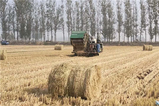 鋼廠鐵路裝載加固防滑草支墊廠家 誠信經(jīng)營(鐵路專用草支墊多少錢) 鋼廠鐵路裝載加固防滑草支墊廠家 誠信經(jīng)營(鐵路專用草支墊多少錢)