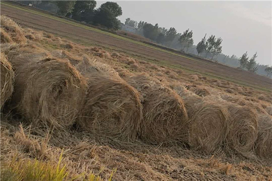 鐵路鋼廠裝載防滑草支墊的選購(gòu)與保養(yǎng)(鐵路鋼廠裝載防滑草支墊的選購(gòu)與保養(yǎng)方法)