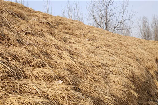 鐵路鋼廠裝載防滑草支墊廠家 助力綠色運輸 鐵路鋼廠裝載防滑草支墊廠家 助力綠色運輸