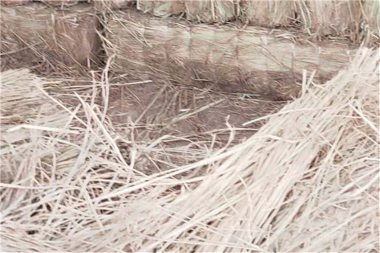 鋼廠鐵路運(yùn)輸防滑加固稻夫草支墊在行業(yè)標(biāo)準(zhǔn)(稻草防腐) 鋼廠鐵路運(yùn)輸防滑加固稻夫草支墊在行業(yè)標(biāo)準(zhǔn)(稻草防腐)