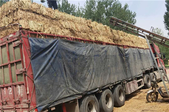 鋼廠鐵路運(yùn)輸防滑加固稻夫草支墊的檢測(cè)與質(zhì)量控制(稻草墊厚度不得小于且壓實(shí)后不得小于10mm)