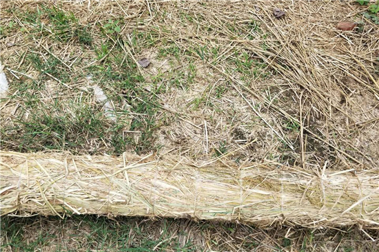 稻夫草支墊助力鐵路貨運安全與環(huán)保(稻草墊子)