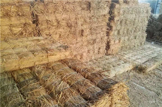 鋼廠鐵路運(yùn)輸防滑加固稻夫草支墊的行業(yè)發(fā)展趨勢(稻草防腐) 鋼廠鐵路運(yùn)輸防滑加固稻夫草支墊的行業(yè)發(fā)展趨勢(稻草防腐)