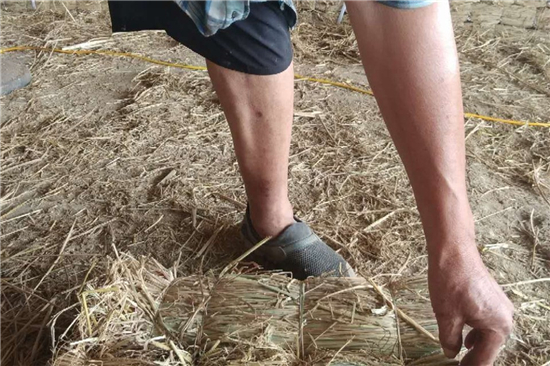 專業(yè)鋼廠鐵路裝載加固防滑草支墊廠家的發(fā)展之路(防滑草墊使用注意) 專業(yè)鋼廠鐵路裝載加固防滑草支墊廠家的發(fā)展之路(防滑草墊使用注意)