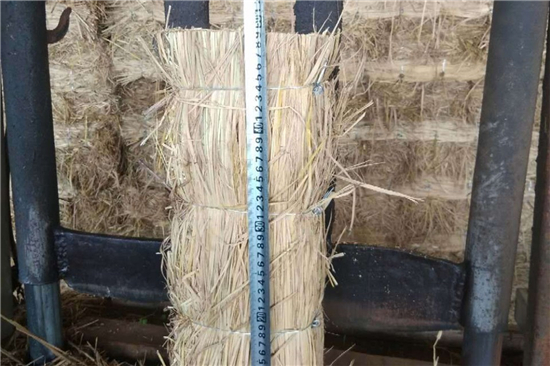 鋼廠鐵路運輸防滑加固稻夫草支墊的質量控制(稻草鋪地防滑) 鋼廠鐵路運輸防滑加固稻夫草支墊的質量控制(稻草鋪地防滑)