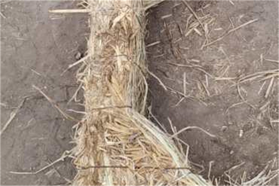 鐵路鋼廠裝載防滑草支墊的選購與保養(yǎng)(防滑草墊使用注意) 鐵路鋼廠裝載防滑草支墊的選購與保養(yǎng)(防滑草墊使用注意)