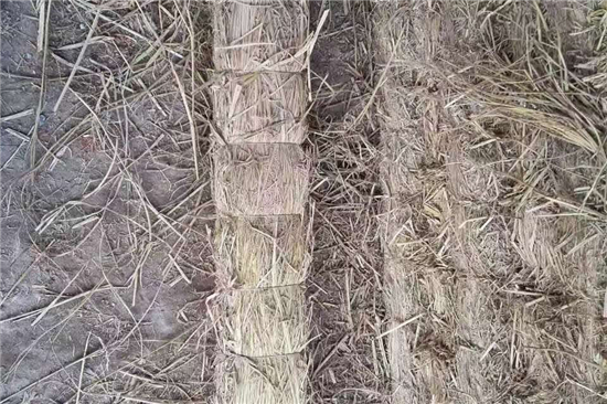 鋼廠鐵路裝載防滑草支墊的行業(yè)發(fā)展 鋼廠鐵路裝載防滑草支墊的行業(yè)發(fā)展