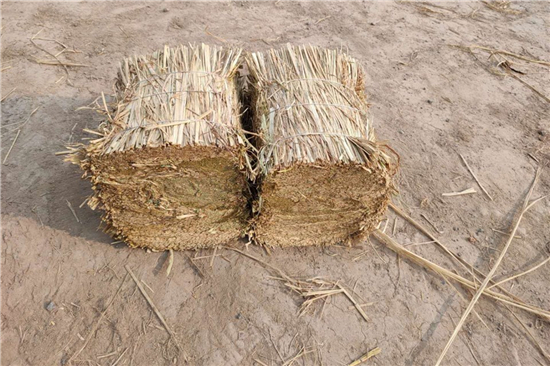 鋼廠鐵路運輸防滑加固稻夫草支墊的應(yīng)急預案 鋼廠鐵路運輸防滑加固稻夫草支墊的應(yīng)急預案