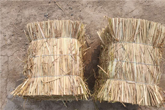 鋼廠鐵路運輸防滑加固稻夫草支墊的性能與特點(稻草怎樣做防腐處理) 鋼廠鐵路運輸防滑加固稻夫草支墊的性能與特點(稻草怎樣做防腐處理)