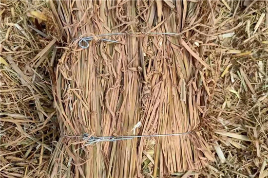 優(yōu)質(zhì)鋼廠鐵路裝載加固防滑草支墊廠家脫穎而出(防滑草墊在哪里有賣) 優(yōu)質(zhì)鋼廠鐵路裝載加固防滑草支墊廠家脫穎而出(防滑草墊在哪里有賣)