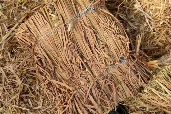 鋼廠鐵路裝載加固防滑草支墊廠家 全國(guó)發(fā)貨(唐山鐵路用草支墊廠家) 鋼廠鐵路裝載加固防滑草支墊廠家 全國(guó)發(fā)貨(唐山鐵路用草支墊廠家)