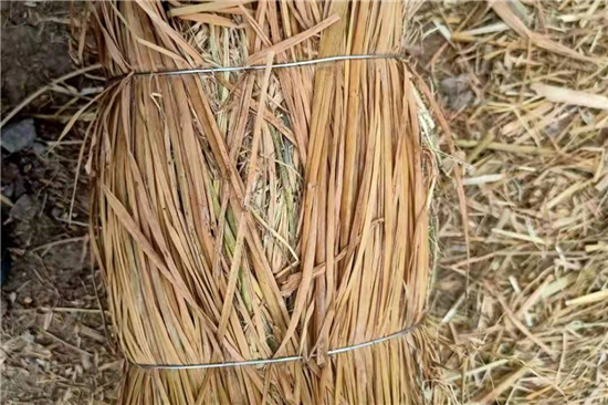 探究鋼廠鐵路火車運輸防滑加固稻夫草支墊的研制與應用 探究鋼廠鐵路火車運輸防滑加固稻夫草支墊的研制與應用