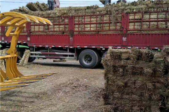 稻夫草支墊在鐵路運(yùn)輸中的作用與價(jià)值(稻夫草支墊廠) 稻夫草支墊在鐵路運(yùn)輸中的作用與價(jià)值(稻夫草支墊廠)