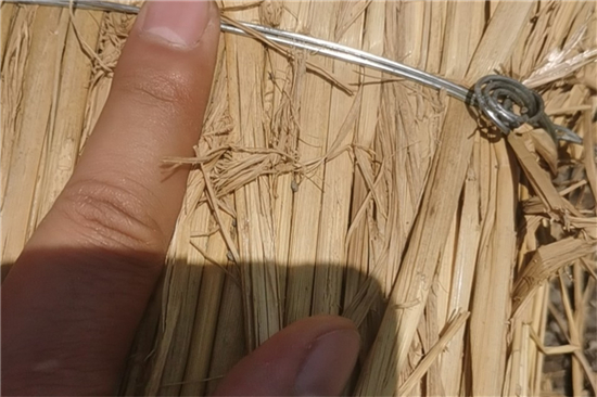 鋼廠鐵路運(yùn)輸防滑加固稻夫草支墊的技術(shù)創(chuàng)新 鋼廠鐵路運(yùn)輸防滑加固稻夫草支墊的技術(shù)創(chuàng)新