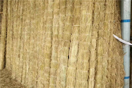 稻夫草支墊在鐵路貨運中的安全保障作用