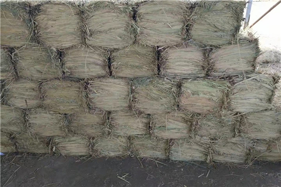 鋼廠鐵路裝載防滑草支墊的市場前景與趨勢(防滑草墊多少錢一塊) 鋼廠鐵路裝載防滑草支墊的市場前景與趨勢(防滑草墊多少錢一塊)