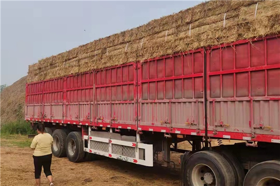 防滑加固稻夫草支墊在鋼廠鐵路火車運輸中的應(yīng)用案例(稻草鋪地防滑) 防滑加固稻夫草支墊在鋼廠鐵路火車運輸中的應(yīng)用案例(稻草鋪地防滑)