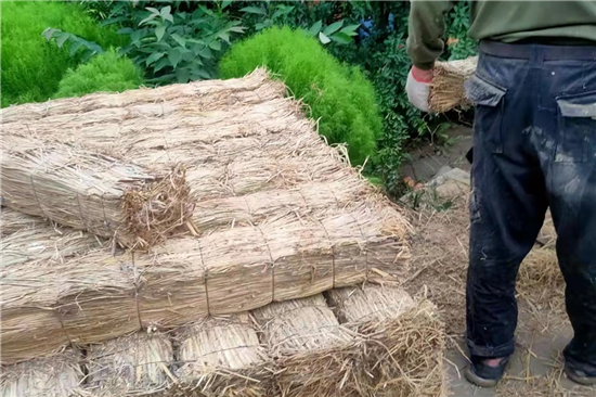 鋼廠鐵路裝載加固防滑草支墊廠家的技術(shù)創(chuàng)新與發(fā)展(防滑草墊屬于什么用品) 鋼廠鐵路裝載加固防滑草支墊廠家的技術(shù)創(chuàng)新與發(fā)展(防滑草墊屬于什么用品)