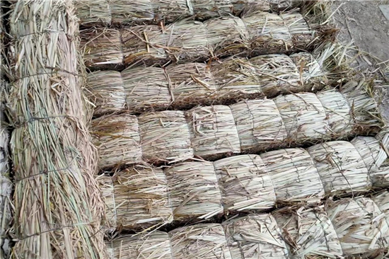 防滑草支墊在鋼廠鐵路裝載中的創(chuàng)新與實踐(防滑草繩捆扎方法) 防滑草支墊在鋼廠鐵路裝載中的創(chuàng)新與實踐(防滑草繩捆扎方法)