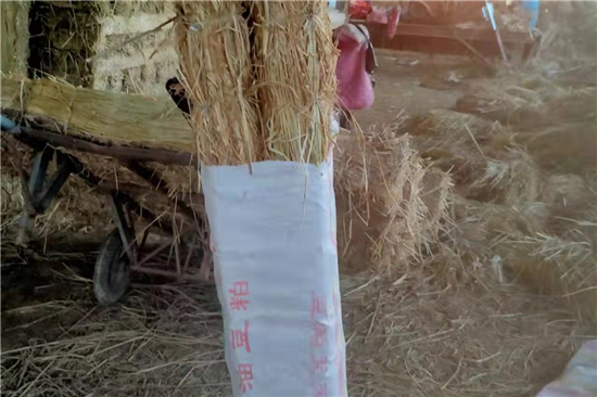 鋼廠鐵路運(yùn)輸安全 防滑草支墊的重要性(鐵路專用草支墊廠家直銷) 鋼廠鐵路運(yùn)輸安全 防滑草支墊的重要性(鐵路專用草支墊廠家直銷)