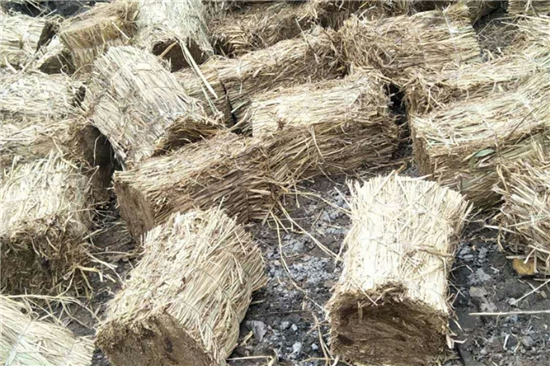 防滑草支墊廠家 為鐵路鋼廠裝載保駕護(hù)航(防滑草繩捆扎方法) 防滑草支墊廠家 為鐵路鋼廠裝載保駕護(hù)航(防滑草繩捆扎方法)